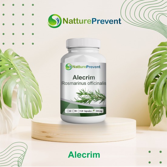 Alecrim 500mg - Suplemento Alimentar 100% Natural