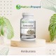 Amburana 500mg - Suplemento Alimentar 100% Natural