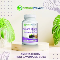 Amora Miúra Com Isoflavona De Soja 500 mg