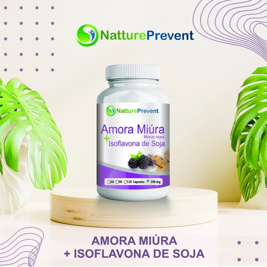 Amora Miúra Com Isoflavona De Soja 500 mg