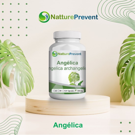 Angélica 500mg - Suplemento Alimentar 100% Natural