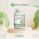 Angélica 500mg - Suplemento Alimentar 100% Natural