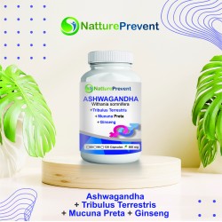 Ashwagandha (Ginseng Indiano), Mucuna Preta, Tribulus Terrestris, Ginseng 500 mg