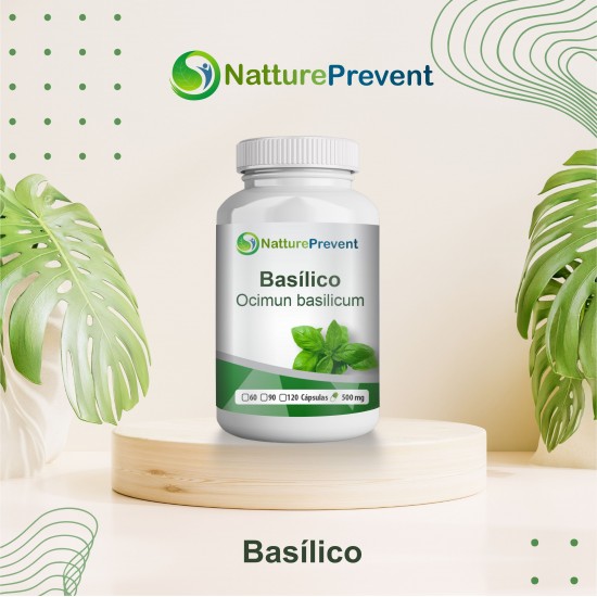 Basílico 500mg - Suplemento Alimentar 100% Natural