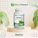 Basílico 500mg - Suplemento Alimentar 100% Natural