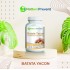Batata Yacon 500 mg