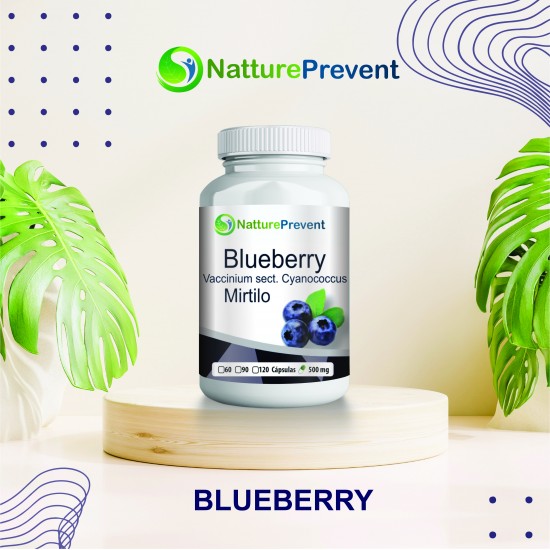 Blueberry (Mirtilo) 500 mg