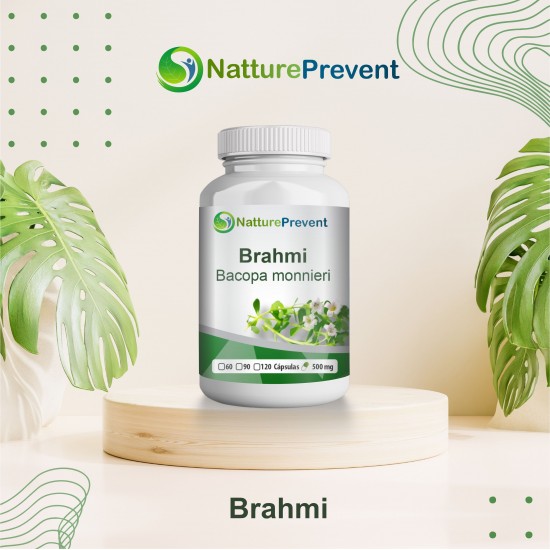 Bacopa Monnieri - Brahmi 500mg - Suplemento Alimentar 100% Natural