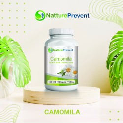 Camomila 500 mg