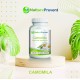 Camomila 500 mg