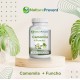 Camomila + Funcho 500mg