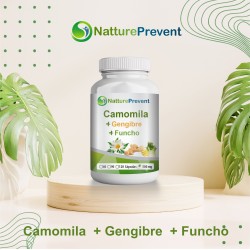 Camomila + Funcho + Gengibre 500mg