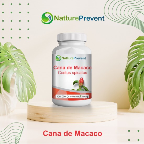 Cana de Macaco 500mg - Suplemento Alimentar 100% Natural