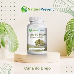 Cana do Brejo 500mg - Suplemento Alimentar 100% Natural