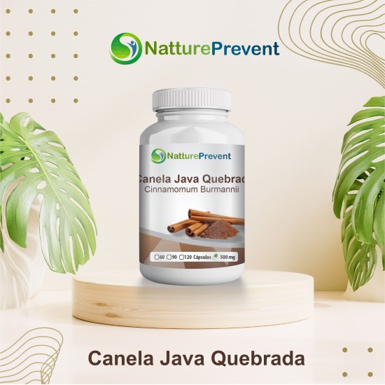 Canela de Java Quebrada 500mg - Suplemento Alimentar 100% Natural