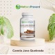Canela de Java Quebrada 500mg - Suplemento Alimentar 100% Natural