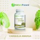 Carqueja Amarga 500 mg