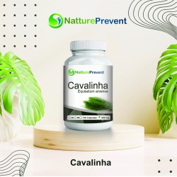 Cavalinha 500 mg