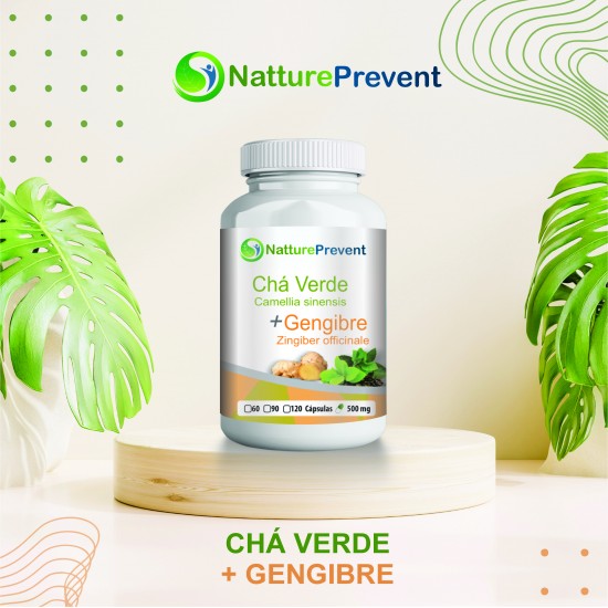 Chá Verde com Gengibre 500 mg