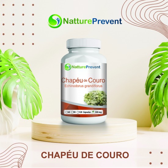 Chapéu de Couro 500 mg