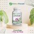 Cimicífuga (Erva de São Cristóvão) + Flor da Noite 500mg - Suplemento Alimentar 100% Natural