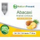Abacaxi 500mg - Suplemento Alimentar 100% Natural