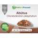 Abútua 500mg - Suplemento Alimentar 100% Natural