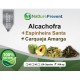 Alcachofra + Espinheira Santa + Carqueja Amarga 500mg - Suplemento Alimentar 100% Natural