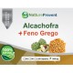 Alcachofra + Feno Grego 500mg