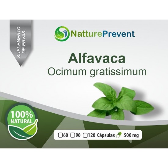 Alfavaca 500mg - Suplemento Alimentar 100% Natural