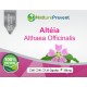 Altéia 500mg - Suplemento Alimentar 100% Natural