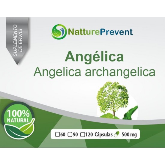 Angélica 500mg - Suplemento Alimentar 100% Natural