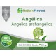 Angélica 500mg - Suplemento Alimentar 100% Natural