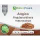 Angico 500mg - Suplemento Alimentar 100% Natural