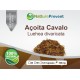 Açoita Cavalo 500mg - Suplemento Alimentar 100% Natural