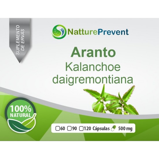 Aranto 500mg - Suplemento Alimentar 100% Natural
