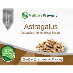 Astragalus 500 mg