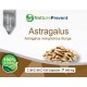 Astragalus 500 mg