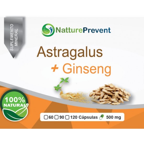Astragalus com Ginseng 500 mg