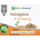 Astragalus com Ginseng 500 mg
