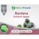 Bardana 500mg - Suplemento Alimentar 100% Natural