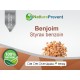 Benjoim 500mg - Suplemento Alimentar 100% Natural