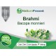 Bacopa Monnieri - Brahmi 500mg - Suplemento Alimentar 100% Natural
