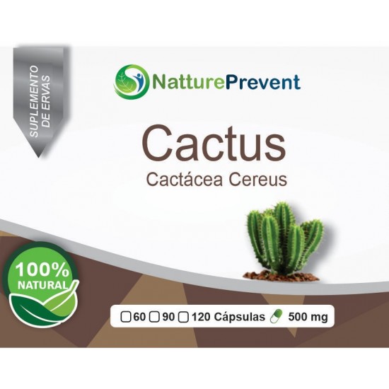 Cactus  500 mg
