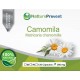 Camomila 500 mg