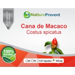 Cana de Macaco 500mg - Suplemento Alimentar 100% Natural