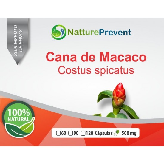 Cana de Macaco 500mg - Suplemento Alimentar 100% Natural