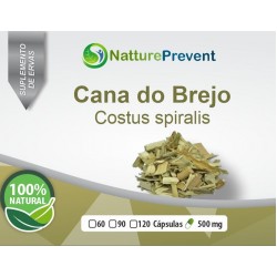 Cana do Brejo 500mg - Suplemento Alimentar 100% Natural