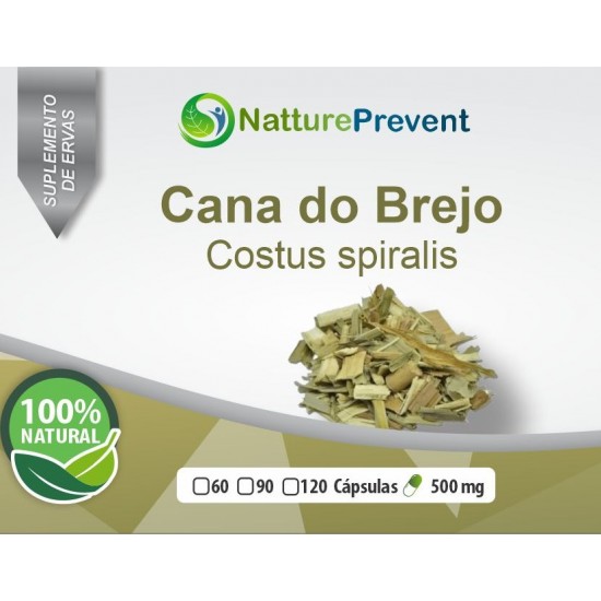 Cana do Brejo 500mg - Suplemento Alimentar 100% Natural