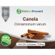 Canela 500mg